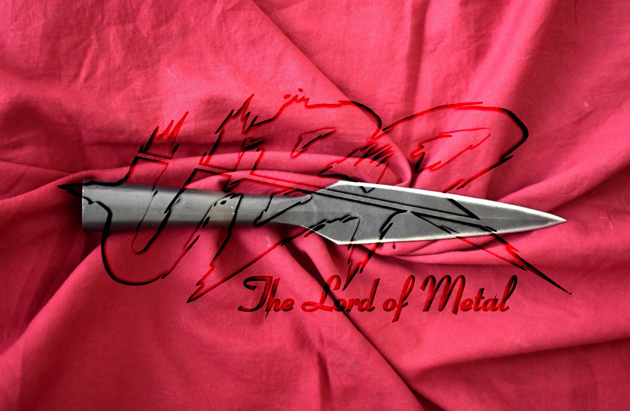 Hunting Spearhead with Carbon steel Blade | Outdoor Collectible Hunting Spears